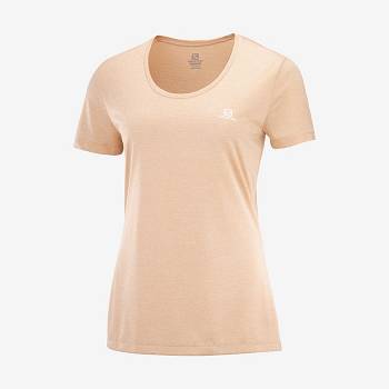 Salomon AGILE Naisten T Paidat Beige | FI-A2480