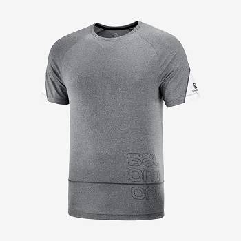 Salomon CROSS RUN GRAPHIC Miesten T Paidat Harmaat | FI-A2018