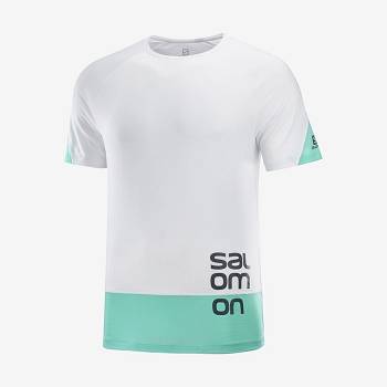 Salomon CROSS RUN GRAPHIC Miesten T Paidat Valkoinen | FI-L1074