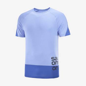 Salomon CROSS RUN GRAPHIC Miesten T Paidat Sininen | FI-L1410