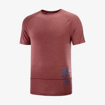Salomon CROSS RUN GRAPHIC Miesten T Paidat Punainen | FI-S2430