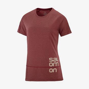 Salomon CROSS RUN GRAPHIC Naisten T Paidat Punainen | FI-L2152