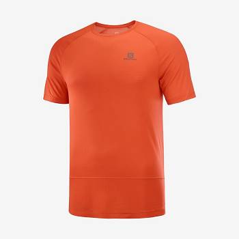 Salomon CROSS RUN Miesten T Paidat Oranssi | FI-S1093