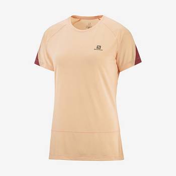 Salomon CROSS RUN Naisten T Paidat Beige | FI-W1520