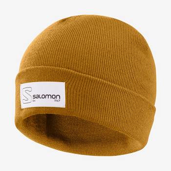 Salomon OUTLIFE LOGO Naisten Hatut Ruskea | FI-O2253