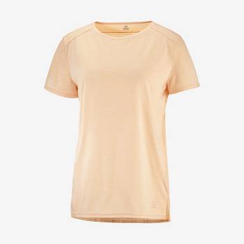 Salomon OUTLINE SUMMER Naisten T Paidat Ruskea | FI-N1043