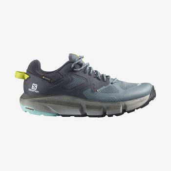 Salomon PREDICT HIKE GORE-TEX Naisten Vaelluskengät Hopea | FI-O2407