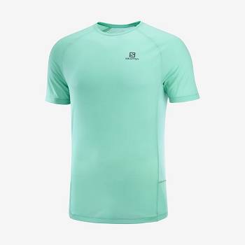 Salomon PROMO CROSS REBEL Miesten T Paidat Minttu | FI-N1981
