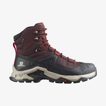 Salomon QUEST ELEMENT GORE-TEX Miesten Retkeilykengät Harmaat Punainen | FI-wO1126