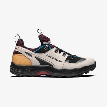 Salomon RAID WIND ADVANCED Naisten Tennarit Beige Sininen | FI-N1729