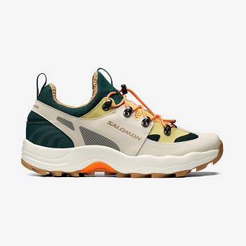 Salomon RAID WIND Naisten Tennarit Beige | FI-O1308