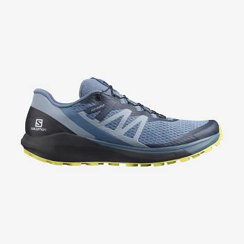 Salomon SENSE RIDE 4 Miesten Maastojuoksukengät Harmaat | FI-L2082