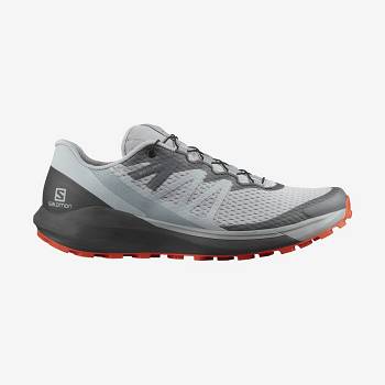 Salomon SENSE RIDE 4 Miesten Maastojuoksukengät Beige Harmaat | FI-O1600