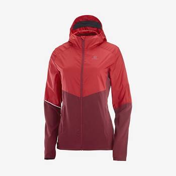 Salomon Takki AGILE WIND Naisten Hiihtotakit Punainen | FI-M2406