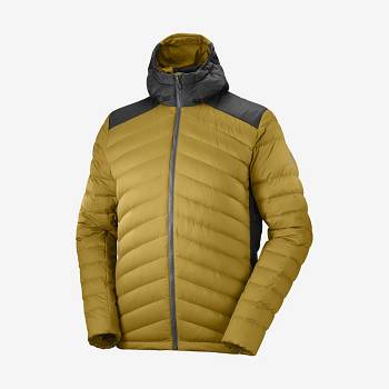 Salomon Takki ESSENTIAL XWARM DOWN Miesten Hiihtotakit Keltainen | FI-A1416