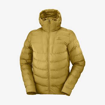 Salomon Takki ESSENTIAL XWARM INSULATED Miesten Hiihtotakit Keltainen | FI-M2273