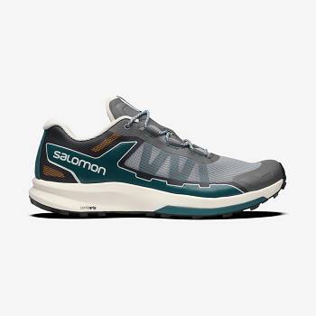 Salomon ULTRA RAID Naisten Tennarit Harmaat | FI-W1720