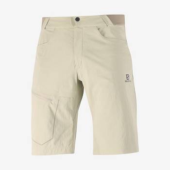 Salomon WAYFARER Miesten Shortsit Beige | FI-S2388