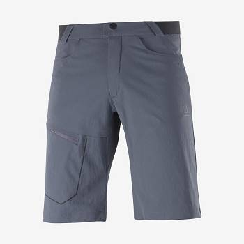 Salomon WAYFARER Miesten Shortsit Harmaat | FI-M2581