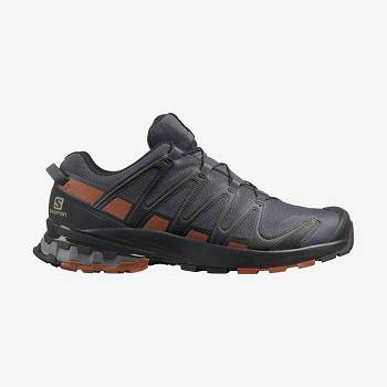 Salomon XA PRO 3D v8 GORE-TEX Miesten Maastojuoksukengät Hopea | FI-O1341